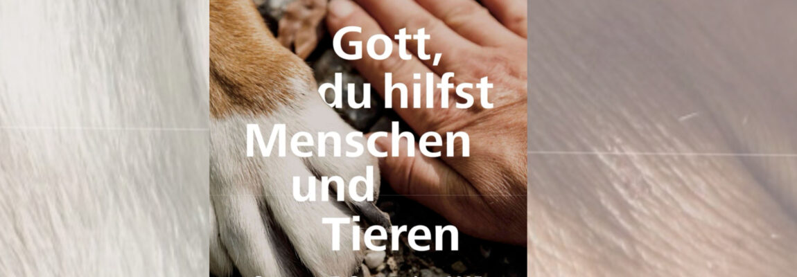 Ökumenische Gottesdienst zum Tag der Schöpfung